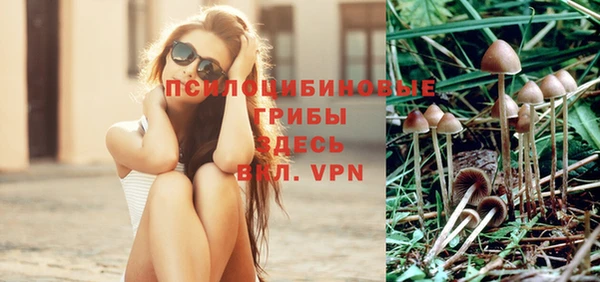 ALPHA PVP Абдулино