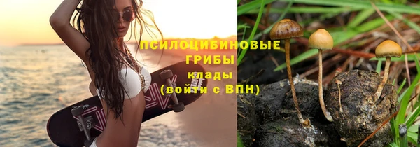ALPHA PVP Абдулино
