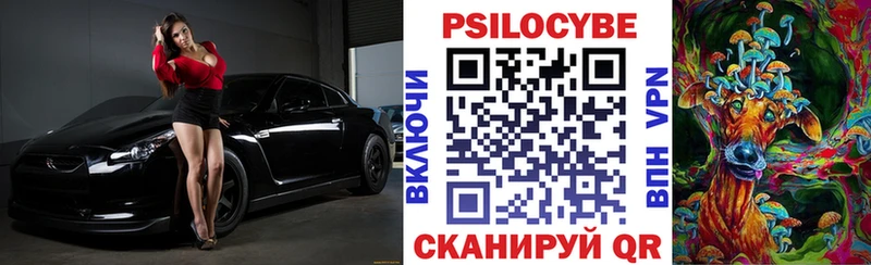 OMG как войти  купить   Правдинск  Псилоцибиновые грибы мухоморы 